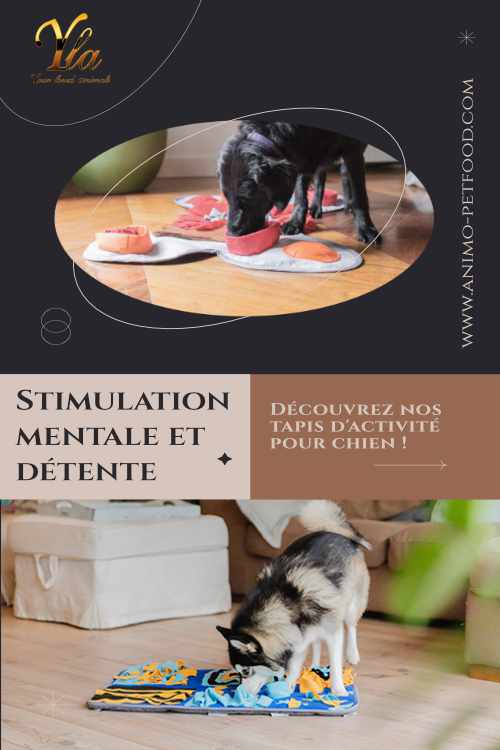 tapis d'activité pour chien